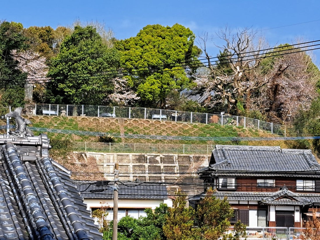 「そうめん神社」って知ってる？南島原・大神（おおみわ）神社で出会う麺作りの聖地